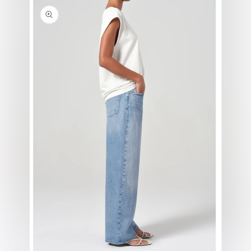 Agolde Low Rise Baggy in Spark